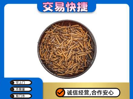广州市高价回收散虫草
