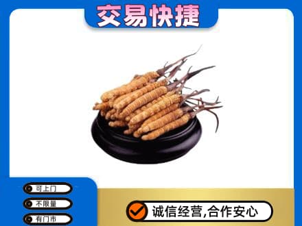 广州市回收冬虫夏草多少钱每克